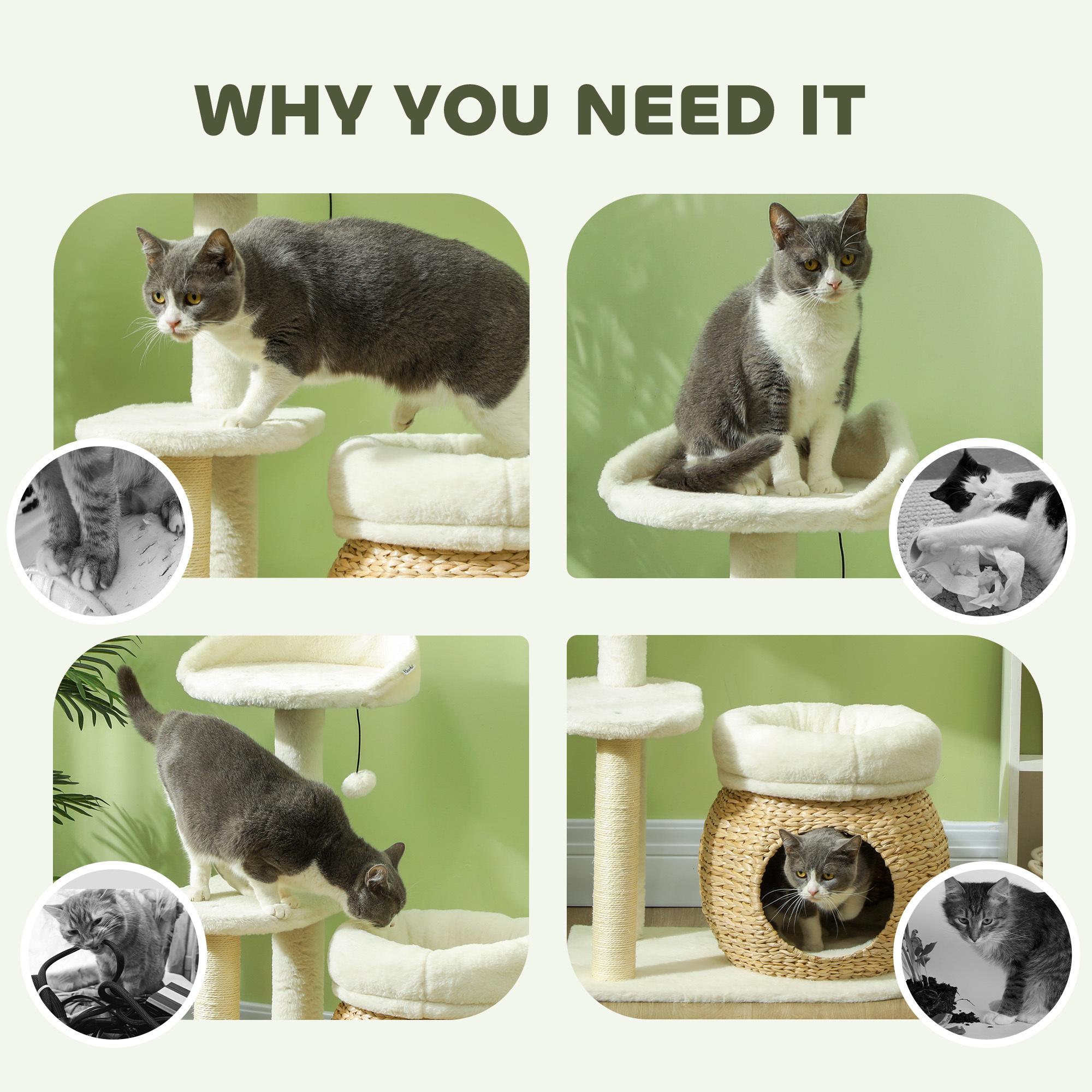 cacd8466-9ab4-4033-85e3-a91f0032b6e3.jpg